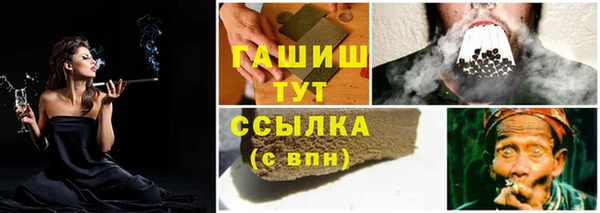 гидра Красноперекопск